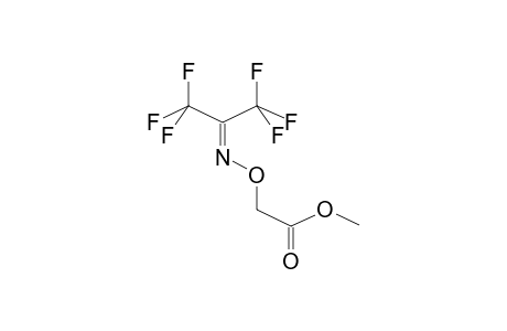 HEXAFLUOROACETONE N-(METHOXYCARBONYLMETHOXY)IMINE