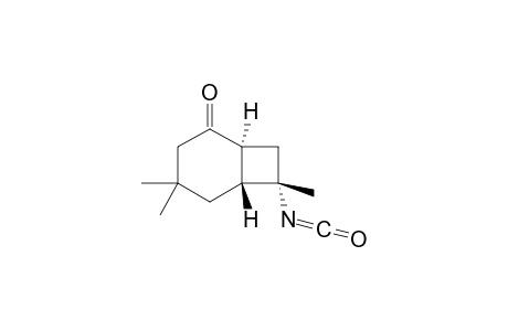 (1S,6R,7S)-7-isocyanato-4,4,7-trimethyl-2-bicyclo[4.2.0]octanone