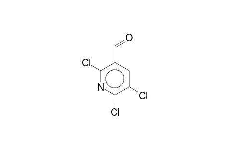3-Pyridinecarboxaldehyde, 2,5,6-trichloro-