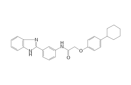 N-[3-(1H-benzimidazol-2-yl)phenyl]-2-(4-cyclohexylphenoxy)acetamide