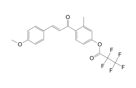 4'-Hydroxy-4-methoxy-2'-methylchalcone, pentafluoropropionate