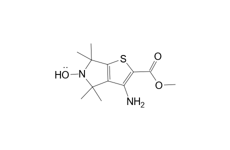 3-Amino-2-carbomethoxy-4,4,6,6-tetramethyl-4,6-dihydro-5H-fthieno[2,3-c]pyrrole-5-yloxyl radical