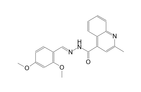 N'-[(E)-(2,4-dimethoxyphenyl)methylidene]-2-methyl-4-quinolinecarbohydrazide