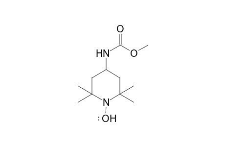 Methyl (2,2,6,6-tetramethyl-1-(lambda1-oxidaneyl)piperidin-4-yl)carbamate