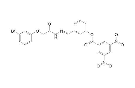 3,5-Dinitro-benzoic acid 3-[[2-(3-bromo-phenoxy)-acetyl]-hydrazonomethyl]-phenyl ester