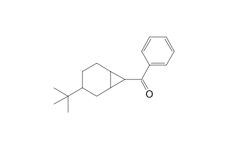 [3-(t-Butyl)bicyclo[4.1.0]hept-7-yl]-(phenyl)-methanone