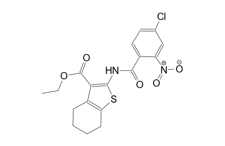 ethyl 2-[(4-chloro-2-nitrobenzoyl)amino]-4,5,6,7-tetrahydro-1-benzothiophene-3-carboxylate
