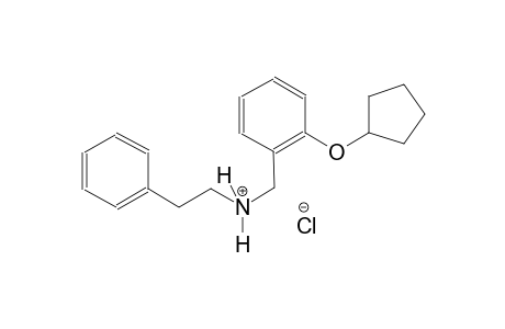 N-[2-(cyclopentyloxy)benzyl]-2-phenylethanaminium chloride