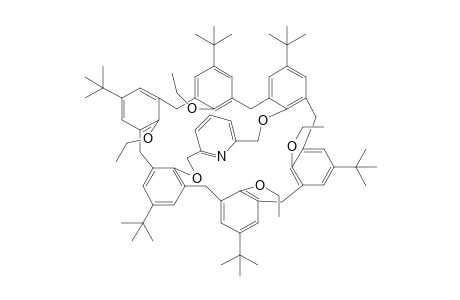 5,11,17,23,29,35-Hexa(t-butyl)-37,38,40,41-tetraethoxy-39,42-[(2',6'-pyridinediyl)-bis(methyleneoxy)]calix[6]arene