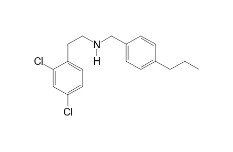 2-(2,4-Dichlorophenyl)-N-[(4-propylphenyl)methyl]ethan-1-amine