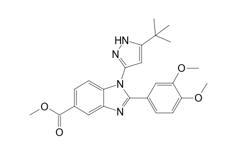 Methyl 1-(5-tert-butyl-1H-pyrazol-3-yl)-2-(3,4-dimethoxyphenyl)-1H-benzo[d]imidazole-5-carboxylate