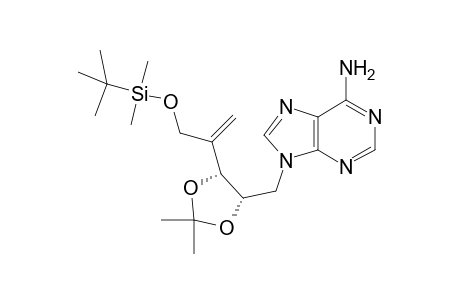 1-Adenin-9-yl-5-O-tert-butyldimethylsilyl-1,4-dideoxy-4-methylene-2,3-O-isopropylidene-D-erythro-2-pentitol