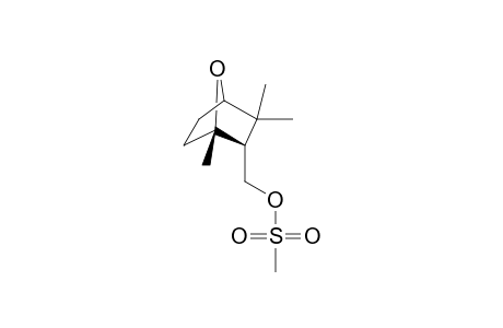 1,3,3-Trimethyl-2-[(methanesulfonyloxy)methyl]-7-oxabicyclo[2.2.1]heptane