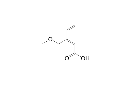 (Z)-3-Methoxymethylpent-2,4-dienoic acid