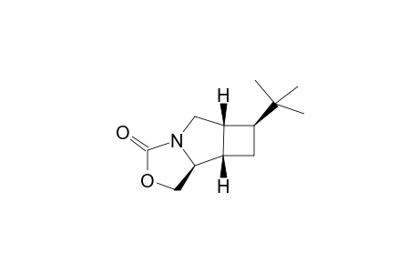 exo-(5SR,6SR,8SR,9RS)-1-Aza-8-(tert-butyl)-3-oxatricyclo[5.3.0.0(6,9)]decan-2-one