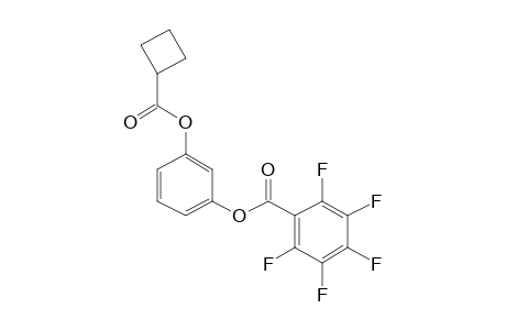 1,3-Benzenediol, o-cyclobutanecarbonyl-o'-pentafluorobenzoyl-