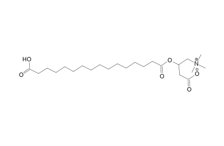 3-[(15-Carboxypentadecanoyl)oxy]-4-(trimethylammonio)butanoate