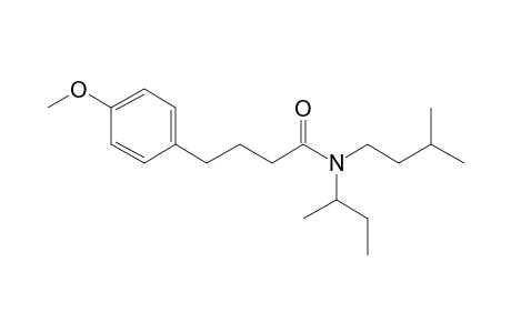 Butyramide, 4-(4-methoxyphenyl)-N-(2-butyl)-N-(3-methylbutyl)-