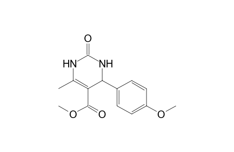 2-keto-4-(4-methoxyphenyl)-6-methyl-3,4-dihydro-1H-pyrimidine-5-carboxylic acid methyl ester