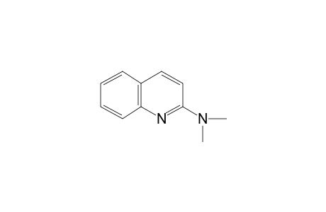 2-Dimethylaminoquinoline