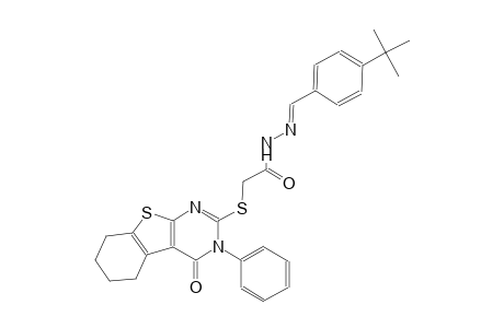 N'-[(E)-(4-tert-butylphenyl)methylidene]-2-[(4-oxo-3-phenyl-3,4,5,6,7,8-hexahydro[1]benzothieno[2,3-d]pyrimidin-2-yl)sulfanyl]acetohydrazide