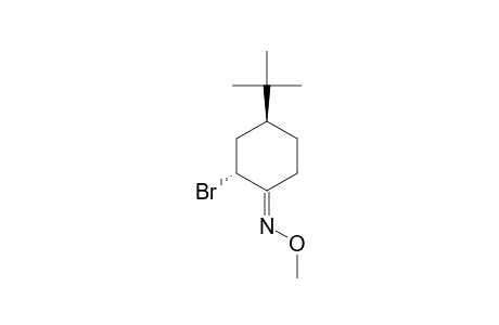 (E)-TRANS-4-TERT.-BUTYL-2-BROMOCYCLOHEXANONE-O-METHYL-OXIME