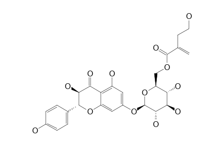 2R,3R-TRANS-AROMADENDRIN-7-O-BETA-D-GLUCOPYRANOSE-6''-(4'''-HYDROXY-2'''-METHYLENE-BUTANOATE)