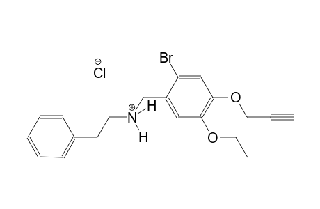 N-[2-bromo-5-ethoxy-4-(2-propynyloxy)benzyl]-2-phenylethanaminium chloride