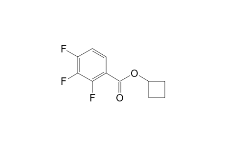 Cyclobutyl 2,3,4-trifluorobenzoate
