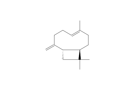 (E)-(1R,9S)-(-)-8-methylene-4,11,11-trimethylbicyclo[7.2.0]undec-4-ene