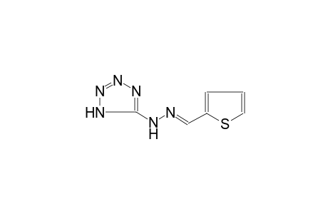 2-thiophenecarbaldehyde 1H-tetraazol-5-ylhydrazone