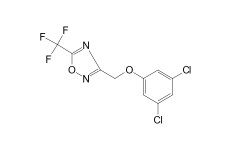 3-[(3,5-DICHLOROPHENOXY)METHYL]-5-(TRIFLUOROMETHYL)-1,2,4-OXADIAZOLE