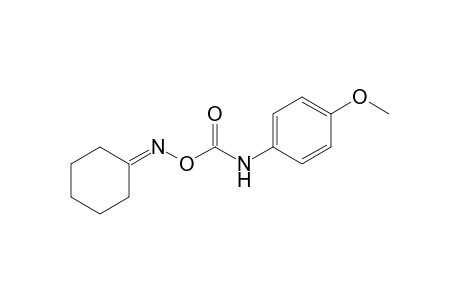 cyclohexanone, O-[(p-methoxyphenyl)carbamoyl]oxime