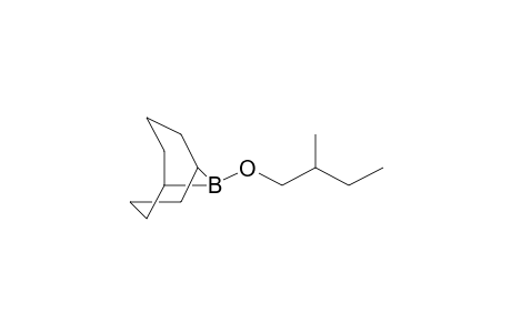 9-(2-Methylbutoxy)-9-borabicyclo[3.3.1]nonane