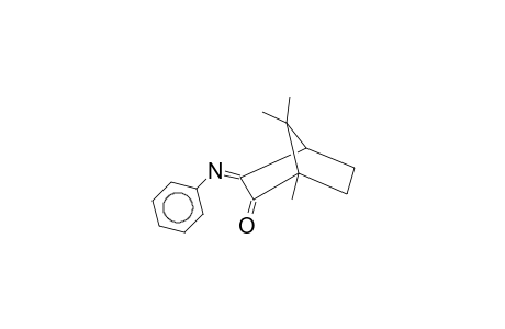 Bicyclo[2.2.1]heptan-3-one, 2-phenylimino-4,7,7-trimethyl-