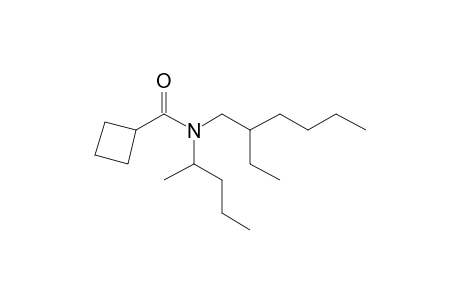 Cyclobutanecarboxamide, N-(2-pentyl)-N-(2-ethylhexyl)-