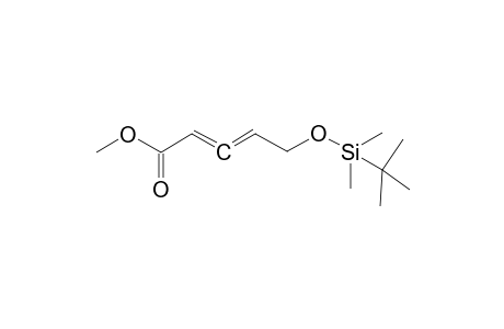 5-[tert-butyl(dimethyl)silyl]oxypenta-2,3-dienoic acid methyl ester
