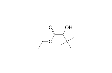 2-Hydroxy-3,3-dimethyl-butyric acid ethyl ester