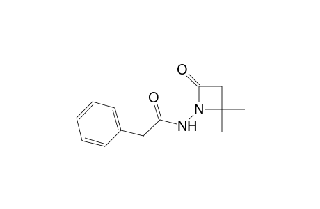 N-(2,2-dimethyl-4-oxidanylidene-azetidin-1-yl)-2-phenyl-ethanamide
