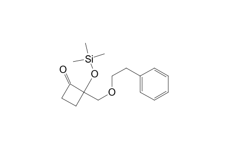 Cyclobutanone, 2-(ethoxyphenylmethyl)-2-[(trimethylsilyl)oxy]-, (R*,R*)-