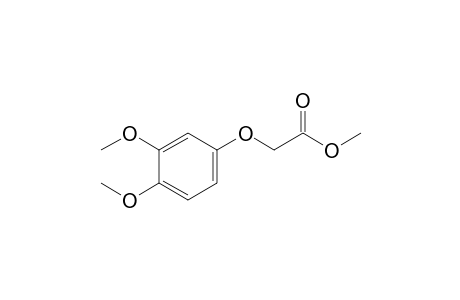 2-(3,4-dimethoxyphenoxy)acetic acid methyl ester