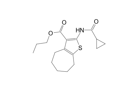 propyl 2-[(cyclopropylcarbonyl)amino]-5,6,7,8-tetrahydro-4H-cyclohepta[b]thiophene-3-carboxylate