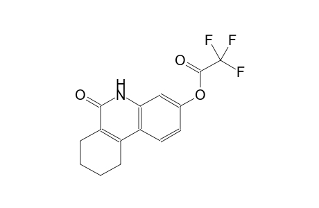 acetic acid, trifluoro-, 5,6,7,8,9,10-hexahydro-6-oxo-3-phenanthridinyl ester