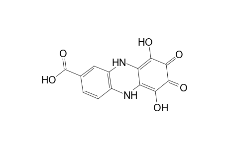 2-Phenazinecarboxylic acid, 6,7,8,9-tetrahydroxy-