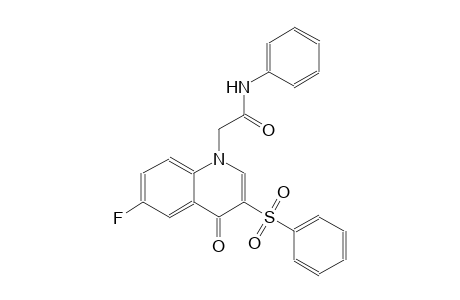 1-quinolineacetamide, 6-fluoro-1,4-dihydro-4-oxo-N-phenyl-3-(phenylsulfonyl)-