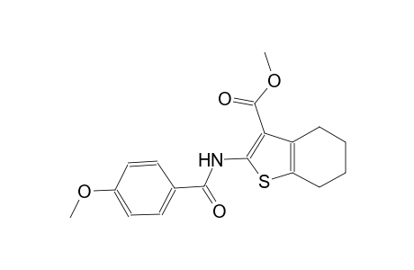 methyl 2-[(4-methoxybenzoyl)amino]-4,5,6,7-tetrahydro-1-benzothiophene-3-carboxylate