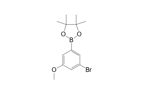 3-BROMO-5-(4,4,5,5-TETRAMETHYL-1,3,2-DIOXABOROLAN-2-YL)-ANISOLE