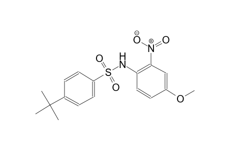 benzenesulfonamide, 4-(1,1-dimethylethyl)-N-(4-methoxy-2-nitrophenyl)-