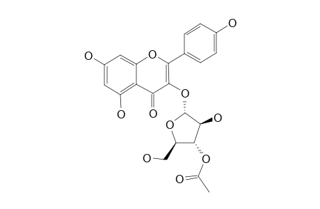 KAEMPFEROL-3-O-ALPHA-L-3''-ACETYL-ARABINOFURANOSIDE