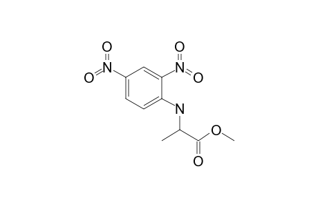 2-[(2,4-dinitrophenyl)amino]propionic acid methyl ester